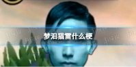 梦泪猫雷什么梗 终极猎手梦泪bgm