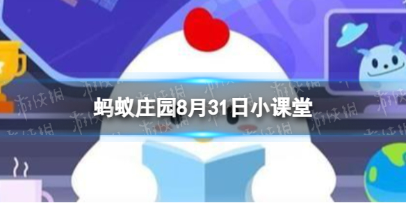 朋友要搬家，送哪种绿植更适合 蚂蚁庄园今日答案8月31日