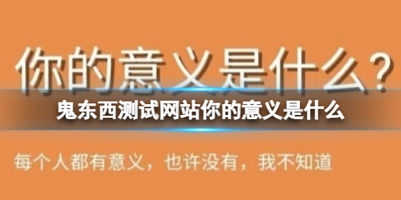 鬼东西测试网站你的意义是什么 你的意义是什么测试下载