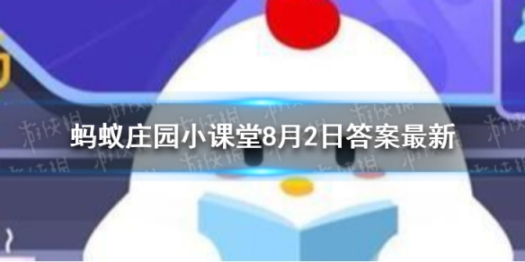 蚂蚁庄园今日答案奥运会 奥运会选手住宿的地方叫什么