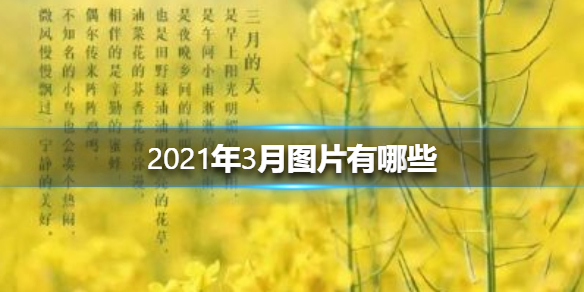 2021年3月图片有哪些 2021年3月图片大全