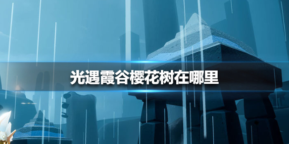 《光遇》霞谷樱花树在哪里 霞谷樱花树位置介绍