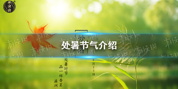 8月23日是什么节日 处暑节气介绍