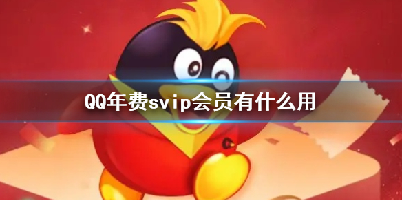 QQ年费svip会员有什么用 QQ年费svip会员作用介绍