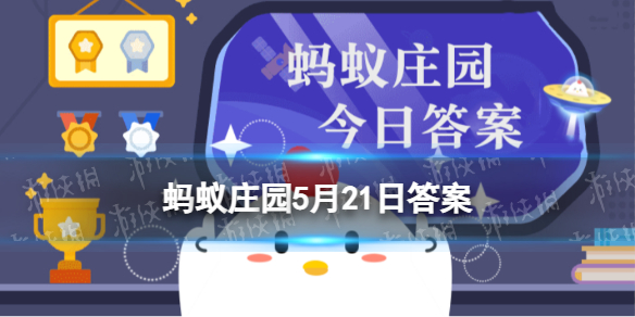 蚂蚁庄园全国助残日 2023年5月21日是第几次全国助残日