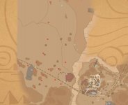 沙石镇时光石化木在哪里 沙石镇时光石化木位置分享