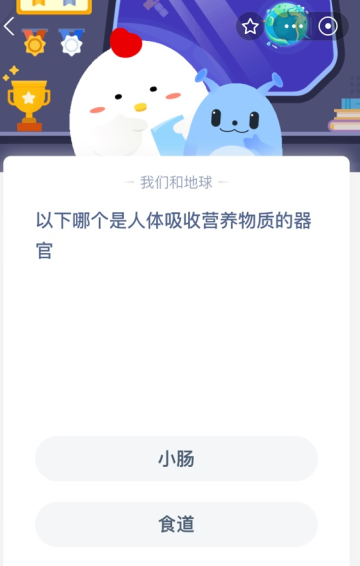 以下哪个是人体吸收营养物质的器官？