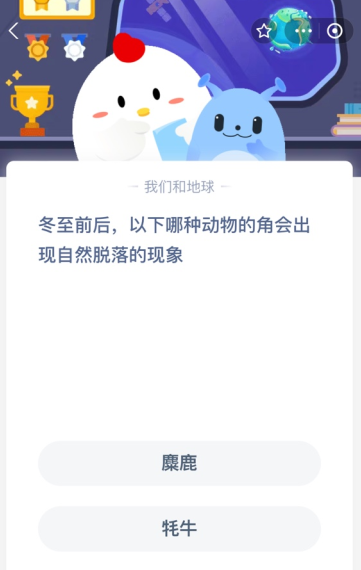 冬至前后，以下哪种动物的角会出现自然脱落的现象？