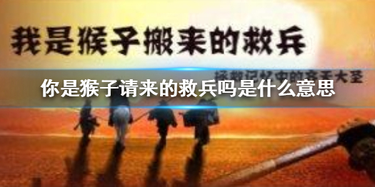 你是猴子请来的救兵吗是什么意思 你是猴子请来的救兵吗下一句怎么回答