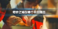 奇妙之城在哪个平台播出 奇妙之城平台播出介绍