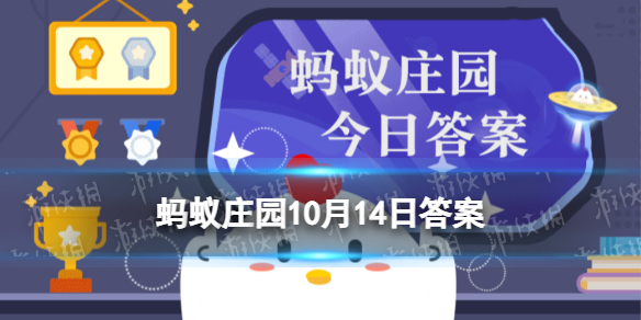 蚂蚁庄园今日答案碳酸饮料 喝完碳酸饮料后以下哪种做法更健康