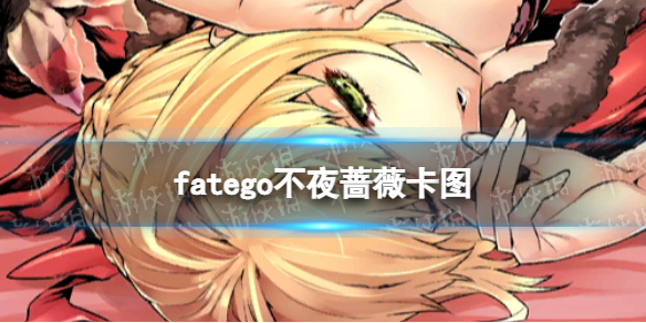 《fatego》不夜蔷薇卡图 FGO不夜蔷薇卡面