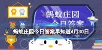 4月30日是什么日子 蚂蚁庄园国际不打小孩日4.30