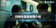 回响剧情介绍 回响电视剧讲的什么故事