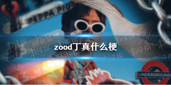 zood丁真什么梗 理塘丁真zood梗介绍