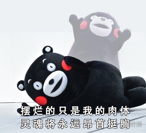 熊本熊系列表情包分享 熊本熊表情包在哪