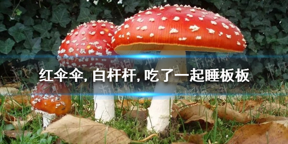 红伞伞,白杆杆,吃了一起睡板板,睡板板躺棺棺 红伞伞白杆杆是什么梗