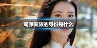 司藤秦放的身份是什么 电视剧司藤秦放的身份介绍