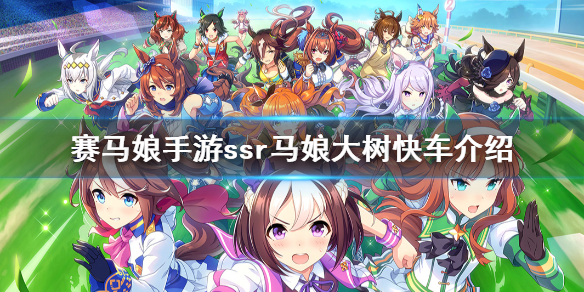 《赛马娘手游》ssr大树快车介绍 ssr马娘大树快车图鉴