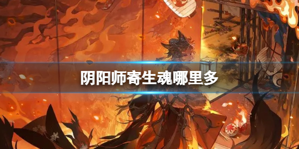 阴阳师寄生魂哪里多