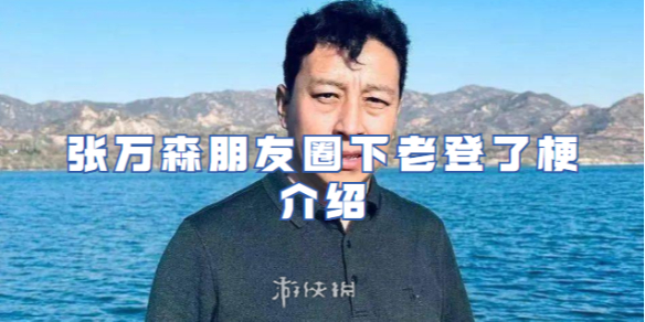 张万森朋友圈下老登了梗介绍