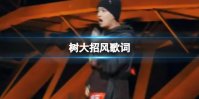 树大招风说唱 树大招风威尔歌词