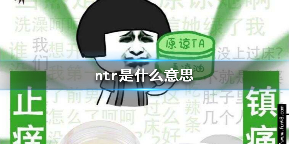 ntr是什么意思 ntr梗出处介绍