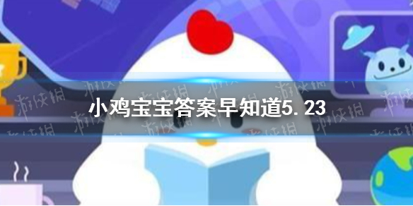 空腹吃荔枝多了可能导致低血糖，这种说法 小鸡宝宝今日答案早知道5月23日