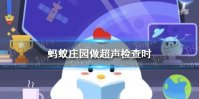 蚂蚁庄园做超声检查时医生涂的是什么 小鸡庄园今天答案4.9