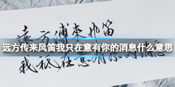 远方传来风笛我只在意有你的消息什么意思 远方传来风笛我只在意有你的消息梗意思介绍