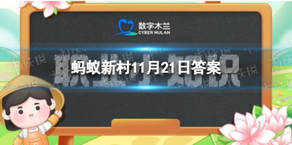 芭蕾舞演员之所以能用脚尖站立秘密在于特殊的脚型还是特制的舞鞋