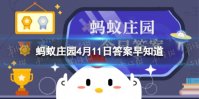 成语“雕虫小技”中的“虫”最早指的是什么 蚂蚁庄园4月11日答案早知道