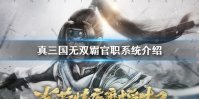 《真三国无双霸》官职是什么 官职系统介绍