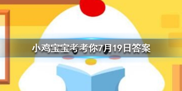 小鸡宝宝考考你跳街舞可以减肥，减掉的脂肪主要是以什么形式排出体外