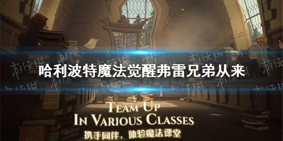《哈利波特魔法觉醒》弗雷兄弟从来 拼图寻宝第三期第二天攻略