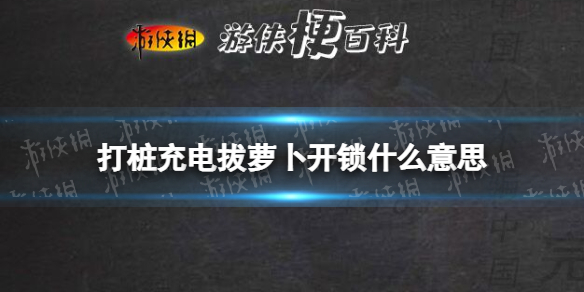 打桩充电拔萝卜开锁什么意思 打桩充电拔萝卜开锁网络用语意思