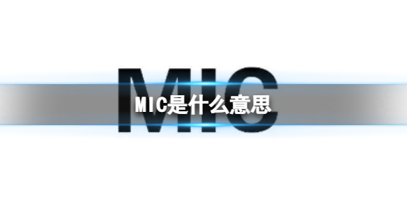 MIC是什么意思 MIC缩写介绍