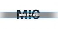 MIC是什么意思 MIC缩写介绍