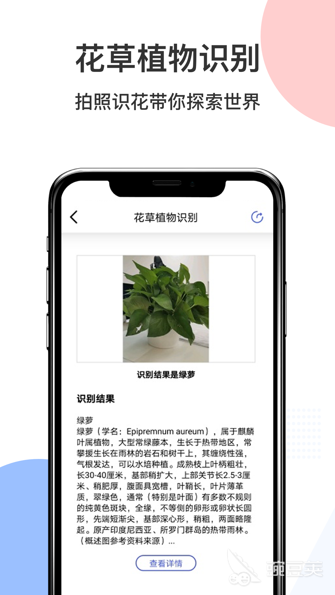识人物图的软件有哪些 手机识图软件推荐