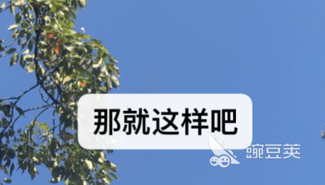真正免费的交友软件有哪些2022 十大免费交友软件排行榜