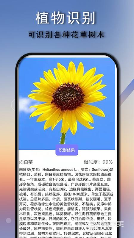 自动识别多少字的软件有哪些 自动识别多少字的软件推荐合集