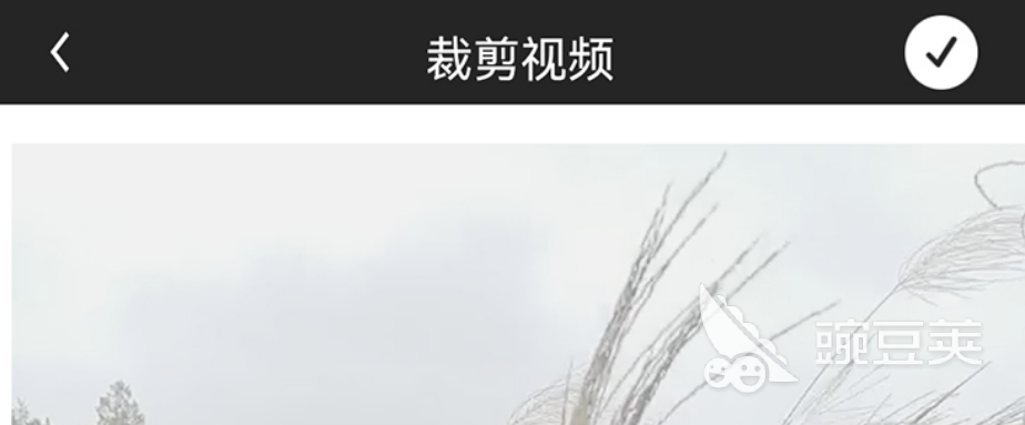 免费水印软件有哪些2022 热门水印app前十名