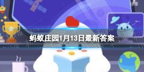 蚂蚁庄园龙猫是宠物吗 蚂蚁庄园龙猫答案1.13