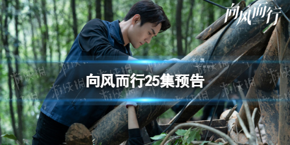 向风而行25集预告 向风而行25集剧情介绍
