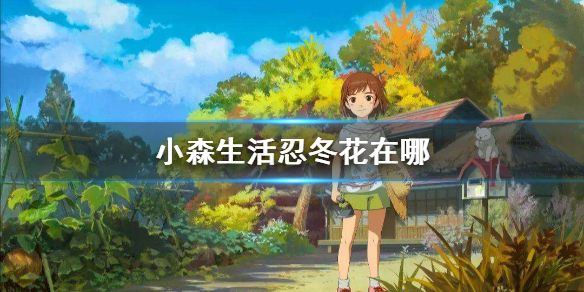 《小森生活》忍冬花在哪 忍冬花多久刷新一次