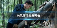 向风而行25集预告 向风而行25集剧情介绍