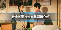 梦中的那片海14集剧情介绍 梦中的那片海14集剧情是什么