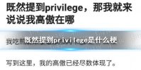 既然提到privilege是什么梗 我的高傲已经尽数体现意思解析
