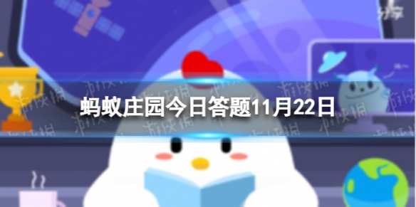 小雪铲白菜指的是小雪时节适合收获储藏白菜还是腌制辣白菜