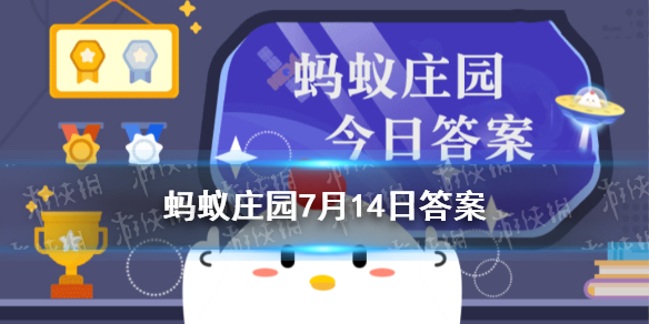 蚂蚁庄园热菜 刚烹饪出来的热菜可以盖上保鲜膜保温吗小鸡庄园7.14